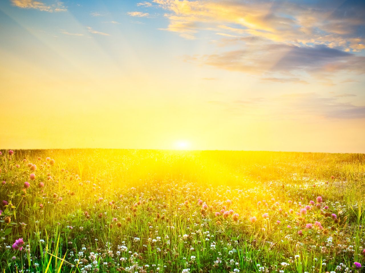 Elektrisch rijden op zonne-energie schoner dan rijden op biobrandstof ...