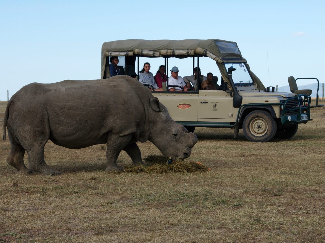 De stille safari ...