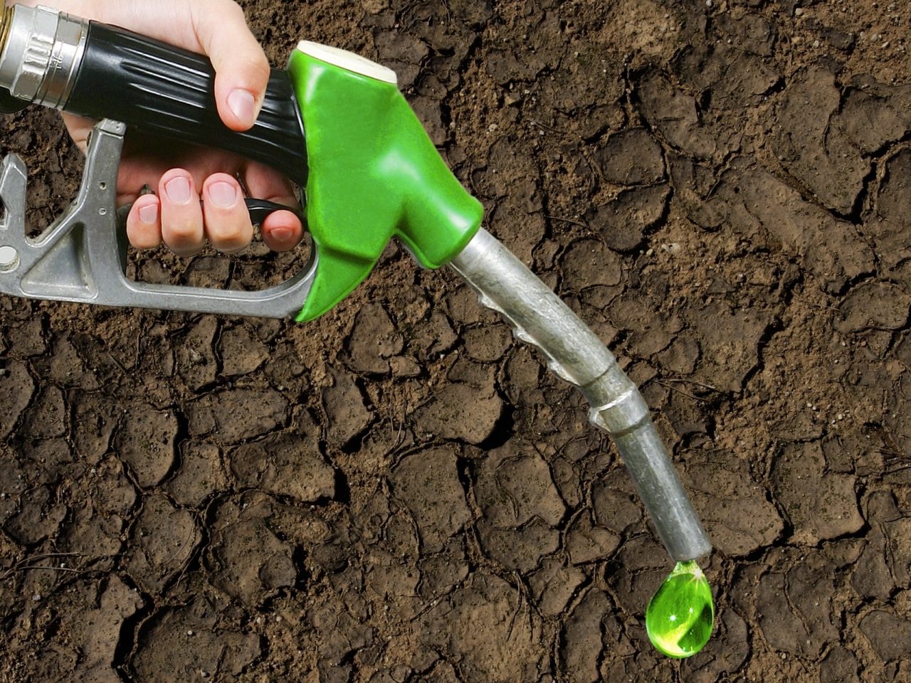 De strijd tussen biobrandstof en elektrisch rijden ...