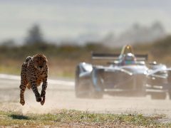 Cheetah Formule E-racer