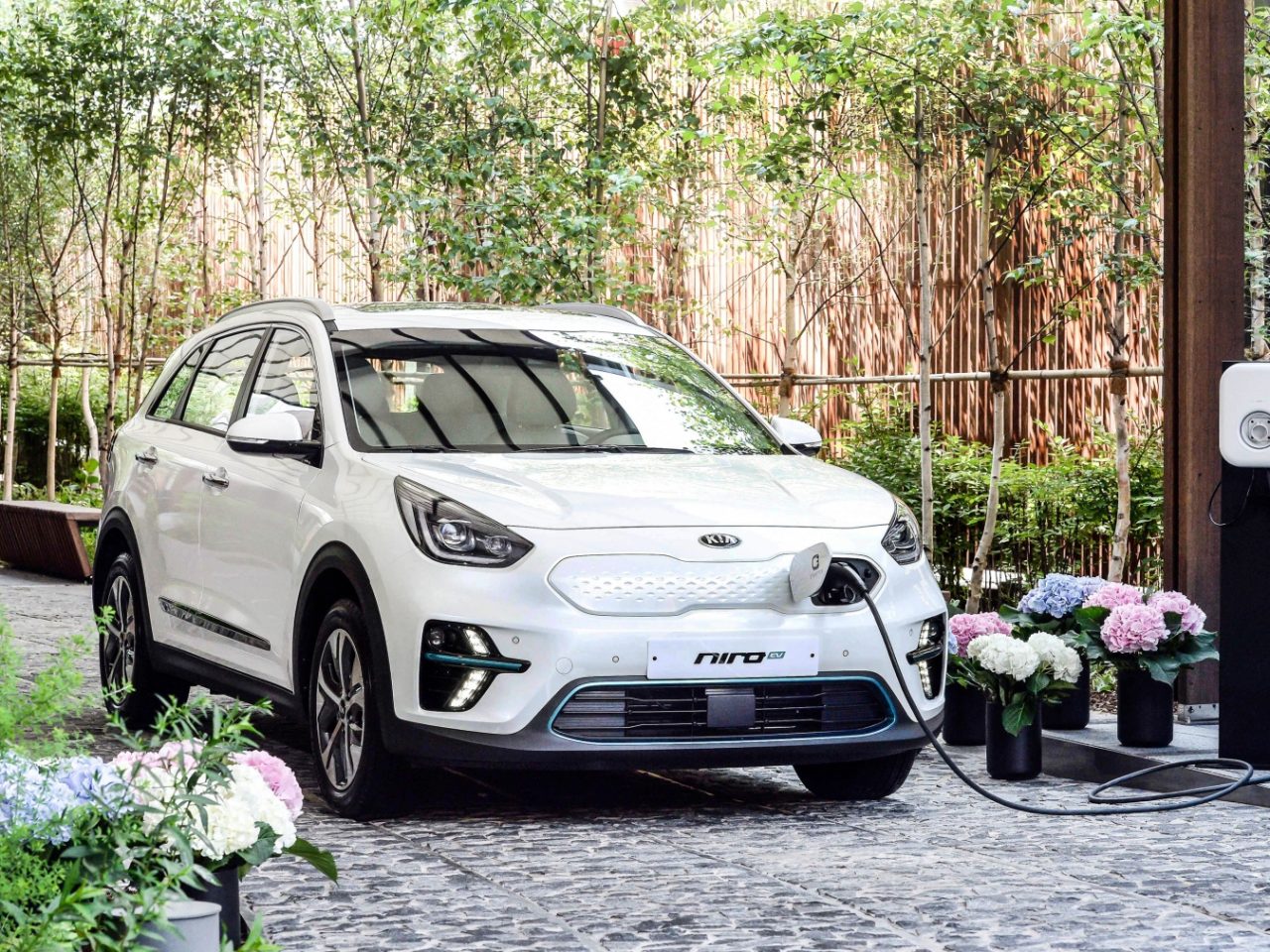 Kia Niro EV