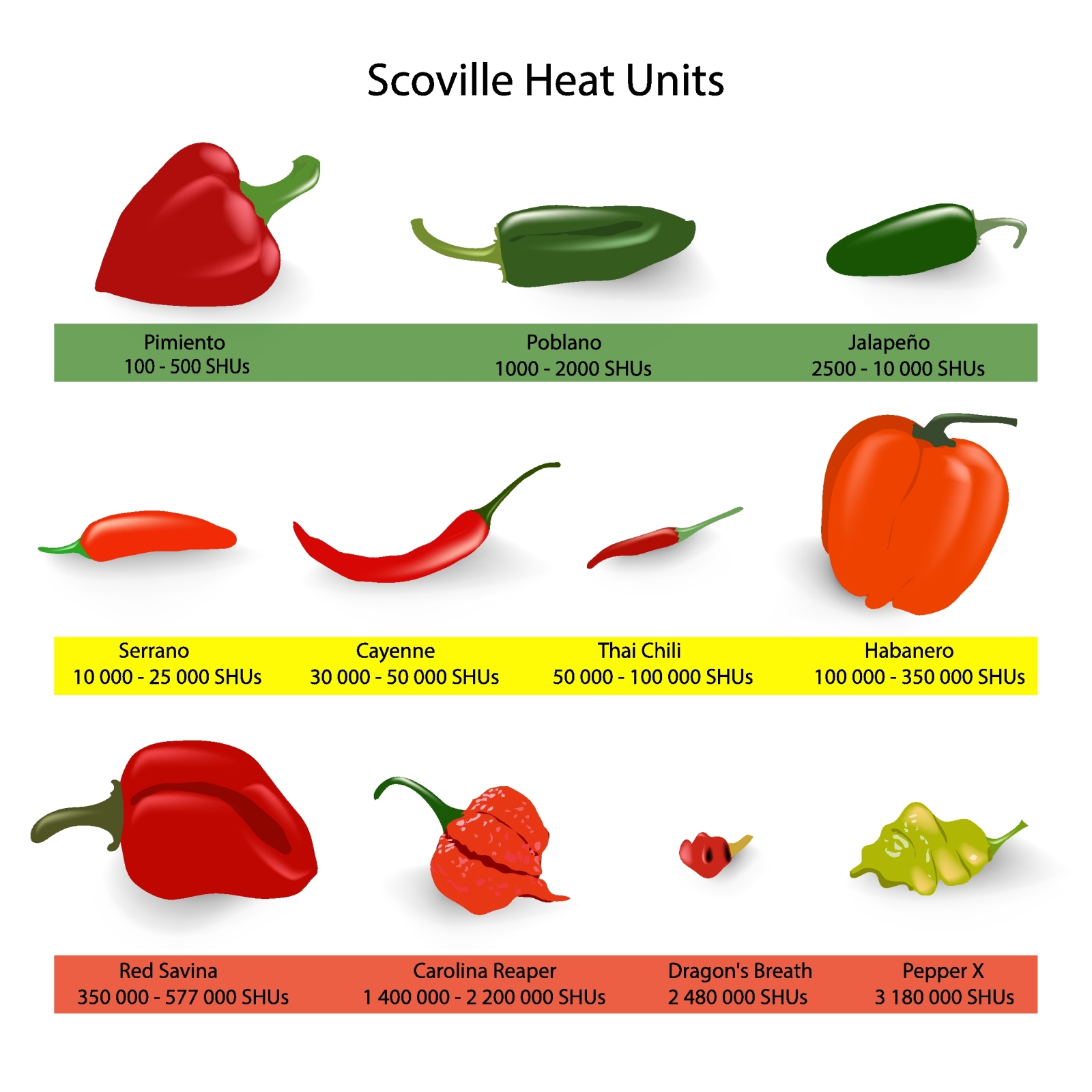 Scoville scale of chilli peppers spiciness, vector